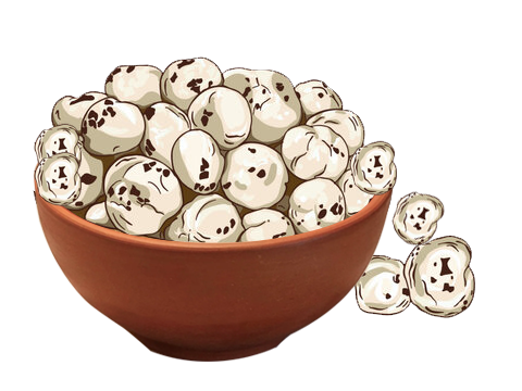 Makhana in the bowl Grainhill