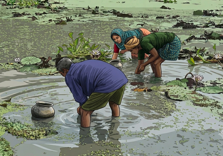Grainhill Makhana Farming